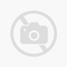 Pedigree Dentastix Light Large 28pcs